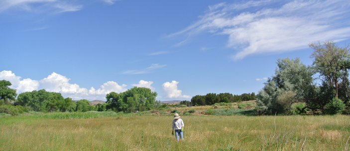 Leonora Curtin Wetland Preserve